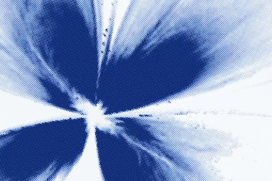 Close-up of the flower's heart, showing overlapping rotated halftone dot screens.