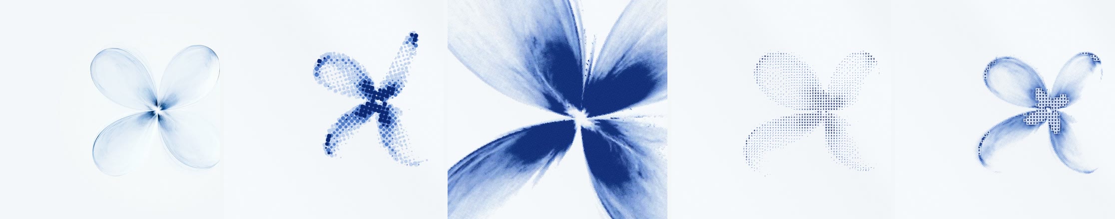Five frames: the original photograph; the same flower as coarse dots; a close-up of fine halftone; the flower as type; the flower in dots again.
