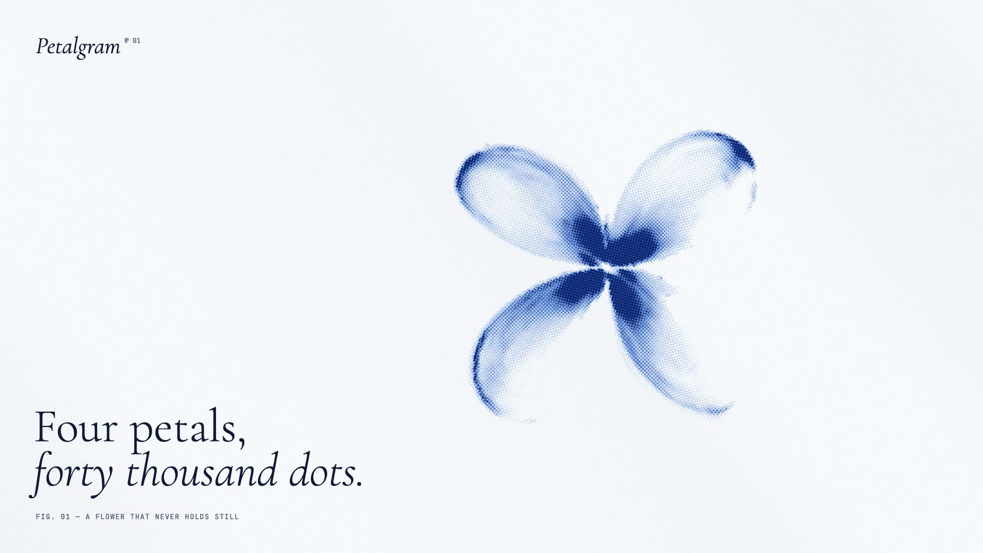 A four-petalled flower printed in blue halftone dots on pale paper, with the title Four petals, forty thousand dots.